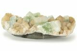 Zoned Apophyllite & Peach Stilbite Association - India #220516-3